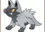 Quiz Pokémon de la 3e génération