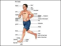 What body part did the narrator receive and injury on?