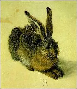 Who painted 'Young Hare'?