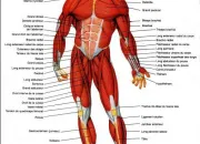 Quiz Science et médecine