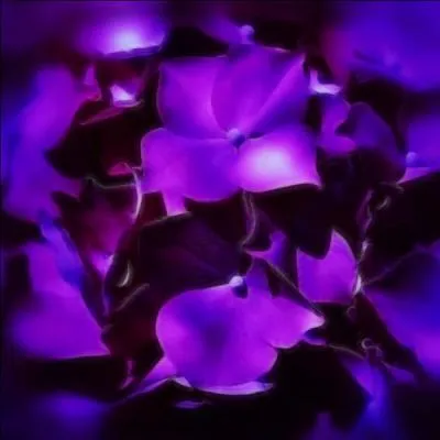 Sally has 3 apples and Jim has 4 apples. How many apples do they have all together?