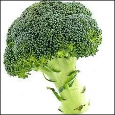 What's the name of the vegetable?