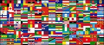 Flags and science - What is name of the study of flags that explains their composition and their signification?