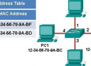 Quiz CCNA 1 - Chapter 5 (Part 2)