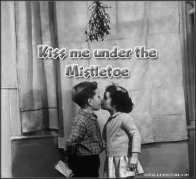 Placing mistletoe in your home was to?