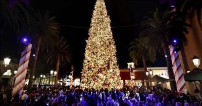 Hints: Tapas, Ole, Dulcinee!