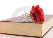 Quiz Et si on révisait nos classiques !