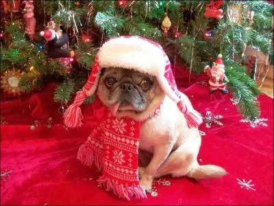 Not ideal for health!