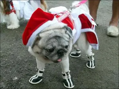 A wandering without a fixed abode!