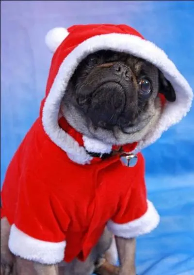 She will dedicate her life to an immaterial being!