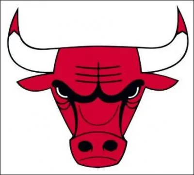 Which American sports team is behind this logo?