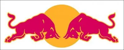 Which energy drink is behind this logo?