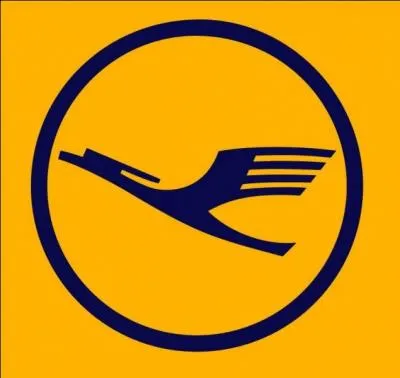 Which airline does this logo represent?