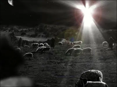 Who appeared to the shepherds and told them that Jesus was born in Bethlehem?