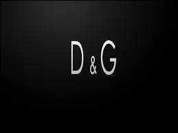 What is the name of the brand bearing this logo?