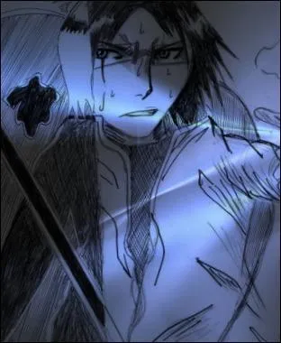 This is a manga by Tite Kubo :