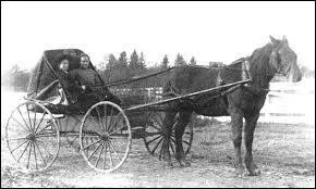 How many popular horse and buggy styles were there?