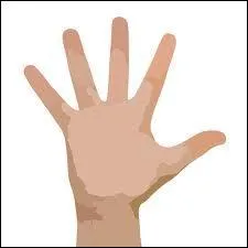 How many fingers?