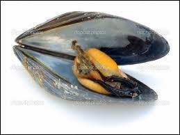 Mussels, not muscles live in the water. They are bivalves...