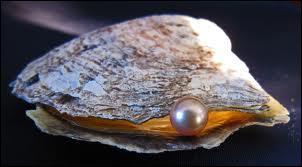 Oysters would belong to the same group as clams, cockles, mussels... and if you are lucky you can find pearls in it. White or Black ones.