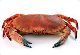 Crabs are invertebrate animals and they are crustaceans... so...