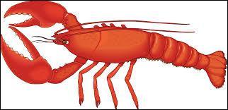 Lobsters are invertebrate animals.