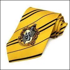 Which of the Houses at Hogwarts wore this tie?