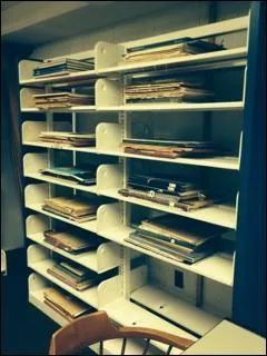 Green Dot items do not circulate.