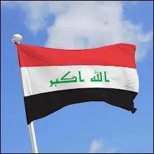 Taking the flag of Iraq, let's replace the central lettering with an eagle. The result is the flag of :