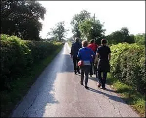 What does ambled mean?