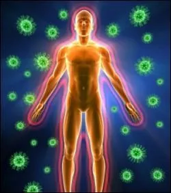 The immune system is the first response to pathogenic intruders.