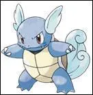 What is the evolution of this pokemon?