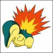 What is the evolution of this pokemon?