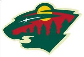 Name the NHL team