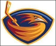 Which former NHL team is this?