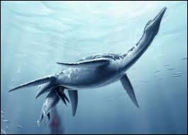 How many vertebrates did the Plesiosaurs have?