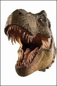 How long was a T-Rex tooth ?