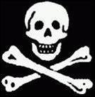 There were a ... and crossbones on the pirates' flags.