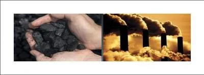 What do the fossil fuels look like?