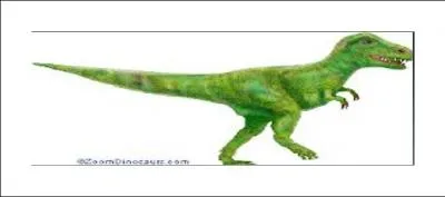 When did these plants and animals live?