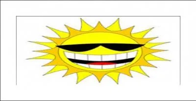 How did the plants and animals get their energy?