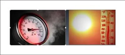 What conditions were needed to turn the plants and animals into fossil fuels?