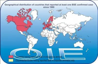 What are some Risk Factors?