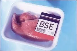 How can you prevent this disease?