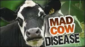 What is another name for Mad Cow Disease?