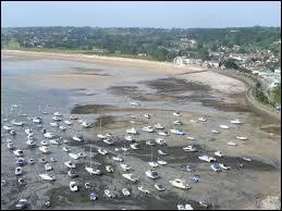 What is the word for  the rising of the earth's ocean surface caused by the tidal forces of the moon and the sun acting on the ocean ?