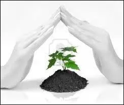 What is the verb that means  to keep someone or something safe from something dangerous or bad ?