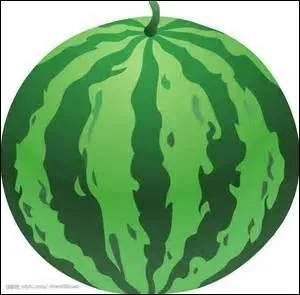 Look at the picture, what is it?