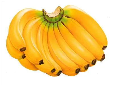 Look at the picture, what is it?