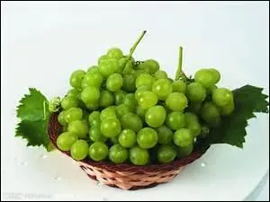 Look at the picture, what is it?